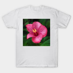 Hibiscus T-Shirt